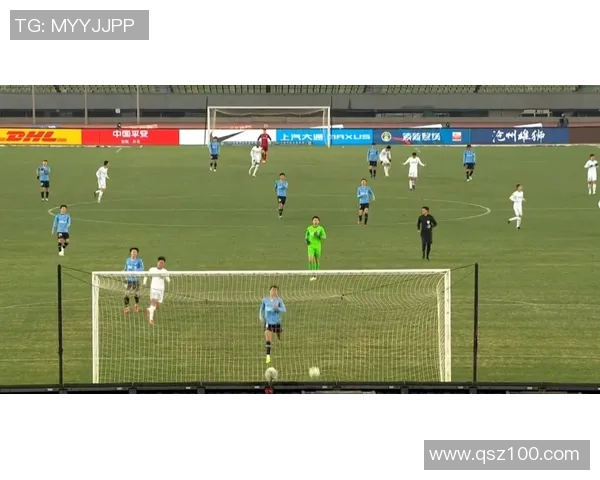 深圳排球队总决赛逆袭之旅背后的奋斗与荣耀揭秘